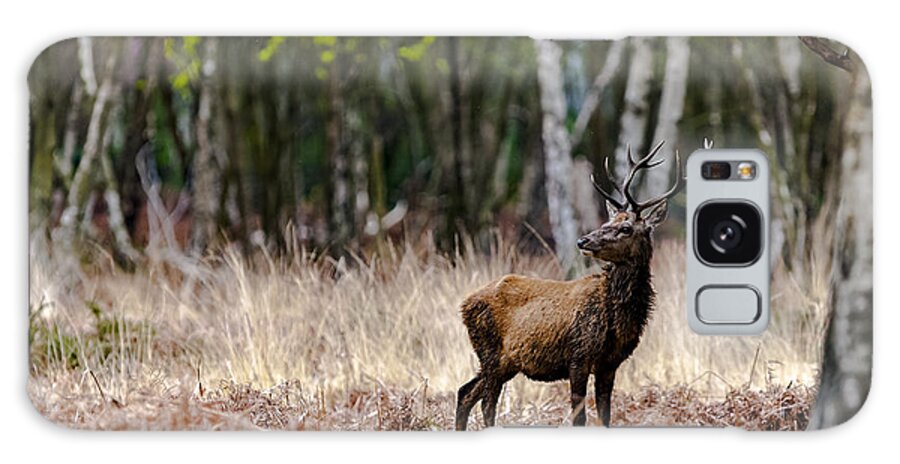 Stag Galaxy S8 Case featuring the photograph Red Deer stag by Andy Myatt