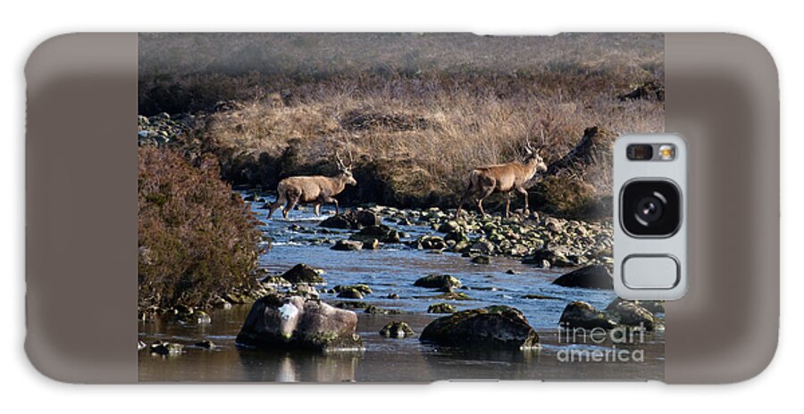 Red Deer Galaxy S8 Case featuring the photograph Stags River Crossing by Phil Banks