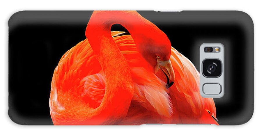 Flamingo Galaxy Case featuring the photograph Red Flamingo Art Photography - Birds Wall Art Prints by Wall Art Prints