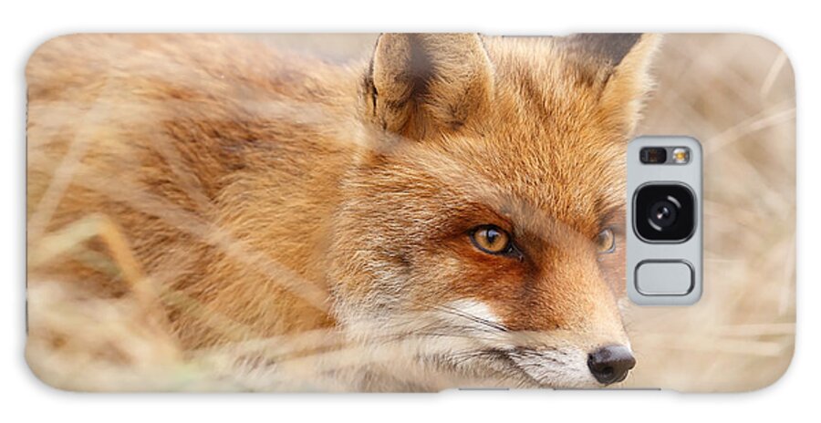 Red Fox Galaxy Case featuring the photograph Red Fox on the Hunt by Roeselien Raimond