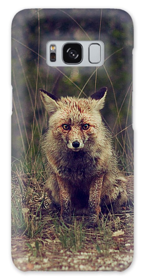 Red Galaxy Case featuring the photograph Red Fox by Newwwman