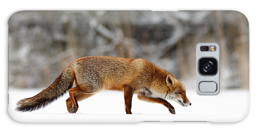 Fox Galaxy Case featuring the photograph Red Fox Running Through a White World by Roeselien Raimond
