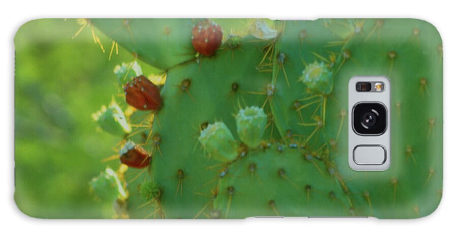  Galaxy Case featuring the photograph Red Fruit Edged Prickly Pear by Heather Kirk