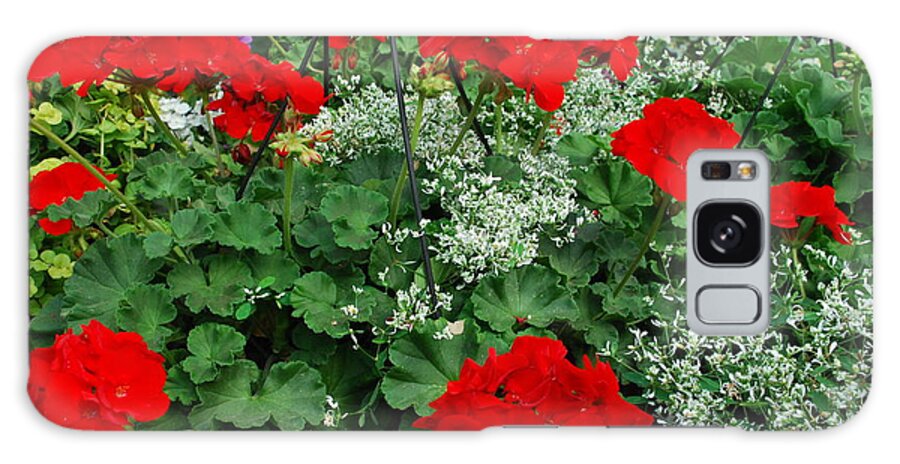 Red Galaxy Case featuring the photograph Red Geraniums by Ee Photography