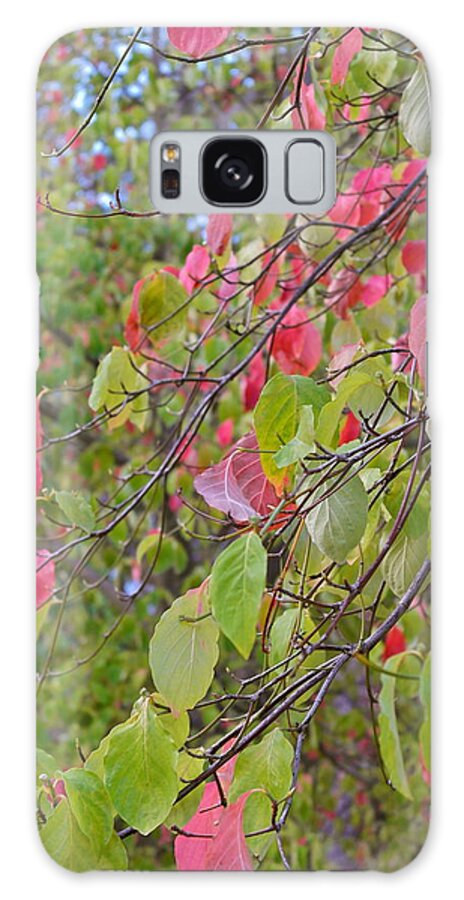 Dogwood Galaxy S8 Case featuring the photograph Red Green October by Michele Myers