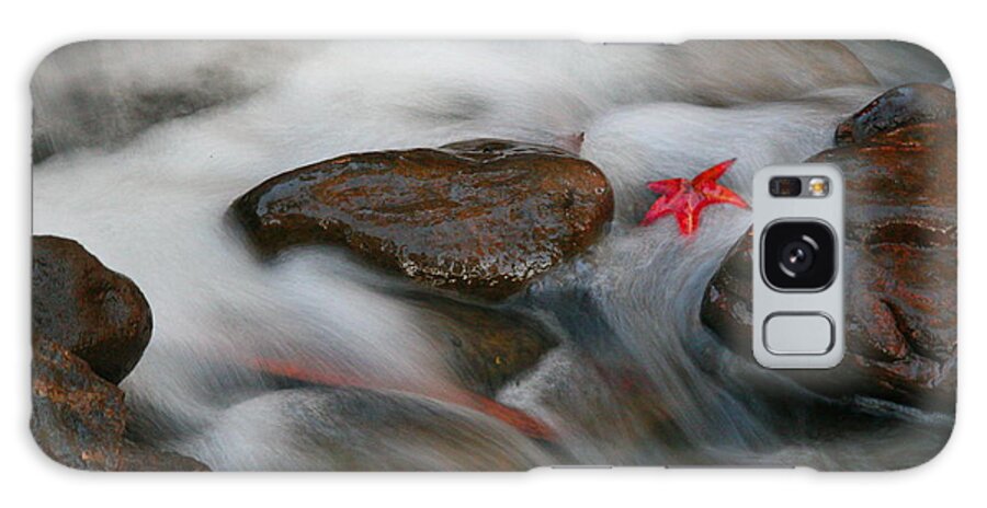 Red Leaf Galaxy Case featuring the photograph Red Leaf by Jonathan Harper