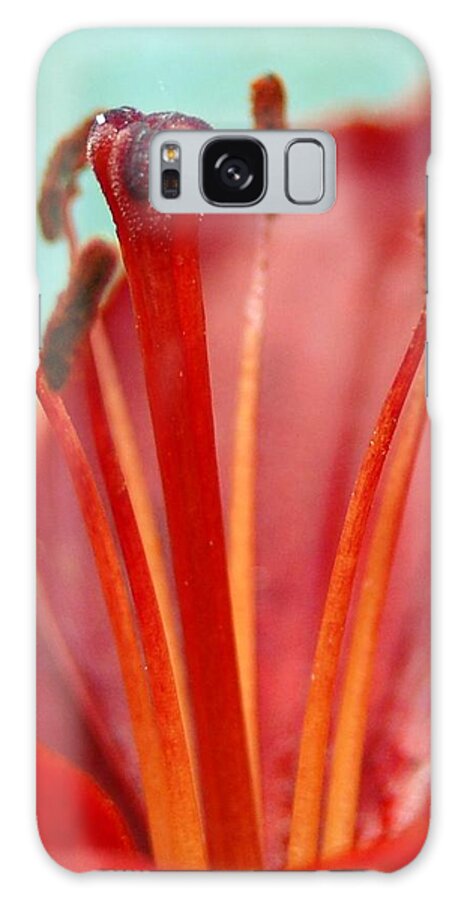 Flower Galaxy Case featuring the photograph Red Lily Reach by Amy Fose