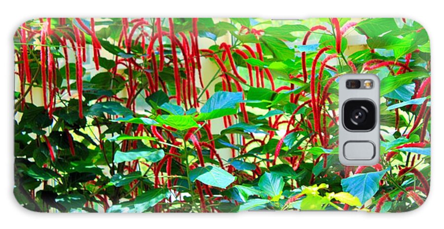 Red Galaxy Case featuring the photograph Red Plants by Karen Wagner