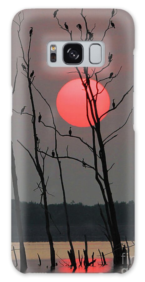 Sunrise  Galaxy Case featuring the photograph Red Rise Cormorants by Roger Becker