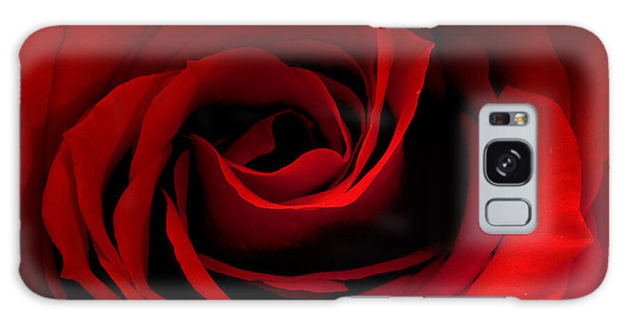 Red Galaxy Case featuring the photograph Red Rose 2 by Joni Eskridge
