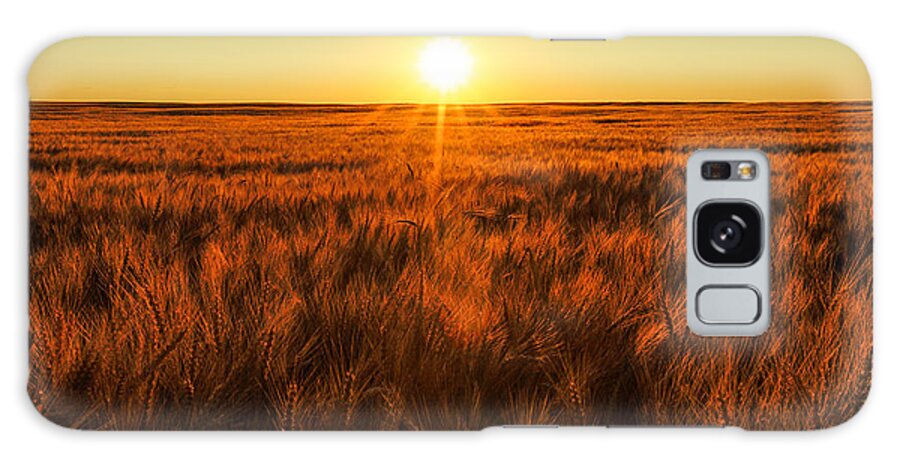 Horizontal Galaxy Case featuring the photograph Red Sky Wheat by Todd Klassy