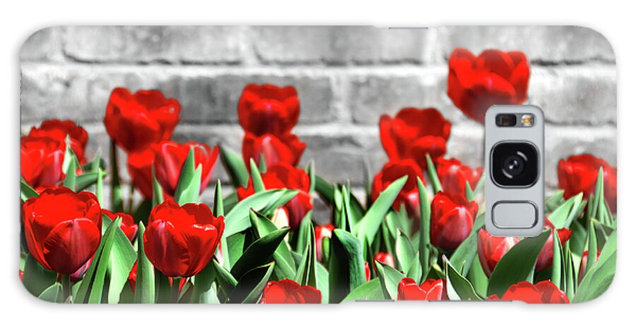 Spring Galaxy Case featuring the photograph Red Spring Tulips by Angelina Tamez