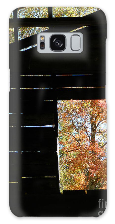 Barn Galaxy Case featuring the photograph Red Tree by Deborah Ferree