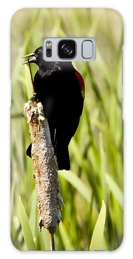 Wildlife Galaxy Case featuring the photograph Red-winged Blackbird by Albert Seger