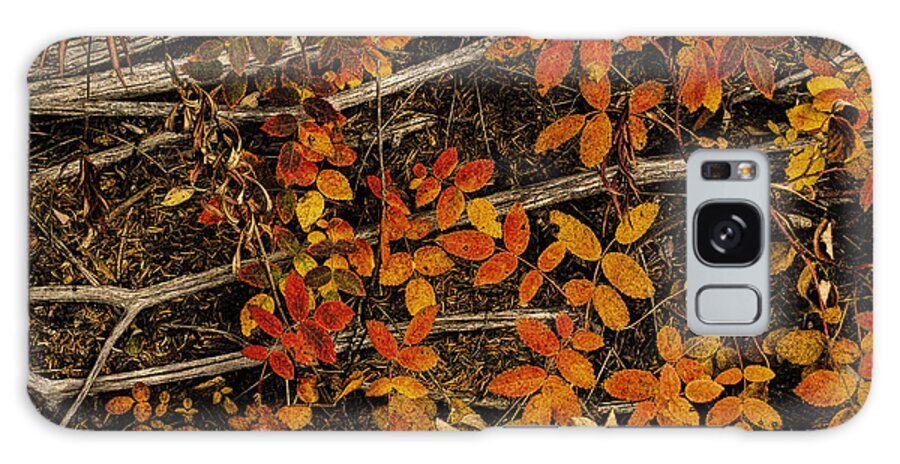 Wildflower Galaxy Case featuring the photograph Red, yellow rose leaves by Fred Denner