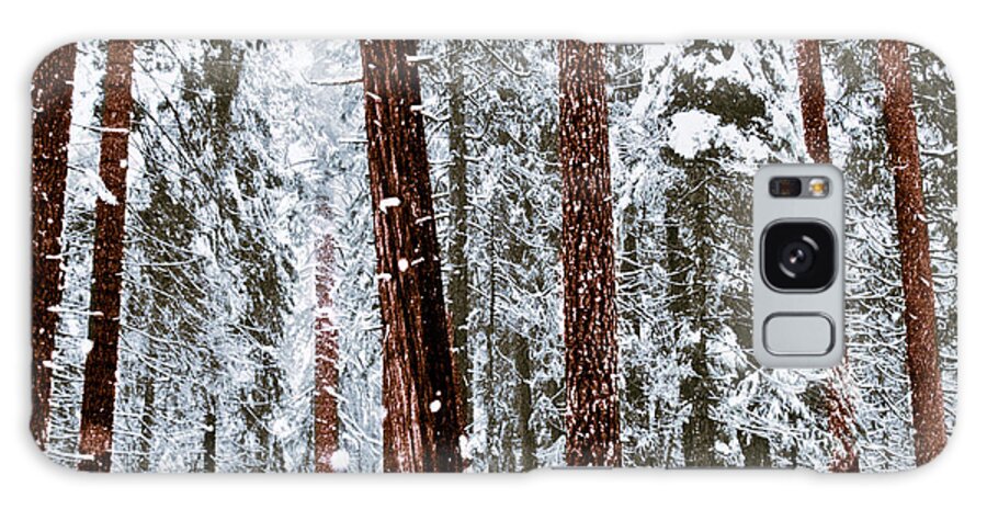 Landscape Galaxy S8 Case featuring the photograph Redwoods in Snow by Karen W Meyer
