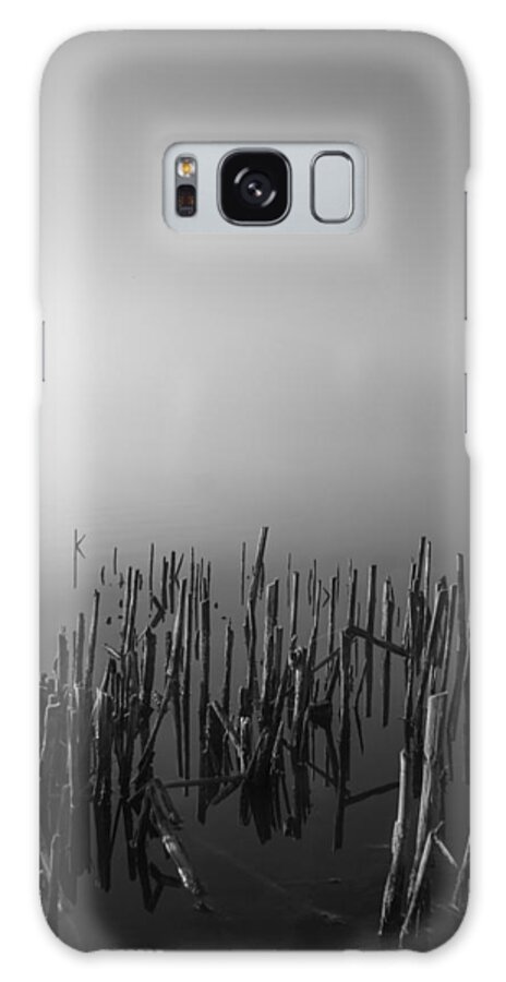 Reeds Galaxy Case featuring the photograph Reeds by Larry Bohlin