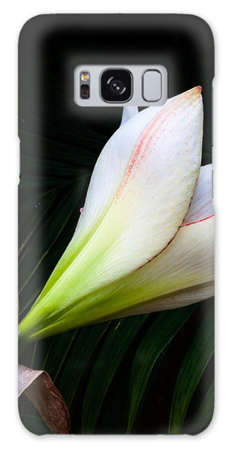 Flowers Galaxy Case featuring the photograph Refined Elegance by Stewart Helberg