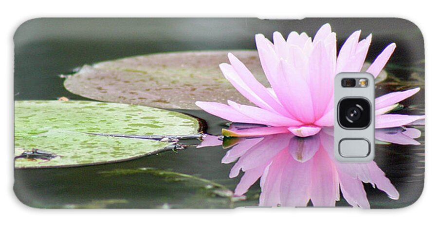 Water Lily Galaxy Case featuring the photograph Reflected Water Lily by Mary Anne Delgado