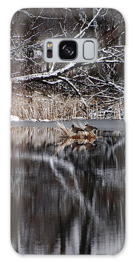 Guelph Galaxy Case featuring the photograph Reflecting On Spring by Debbie Oppermann