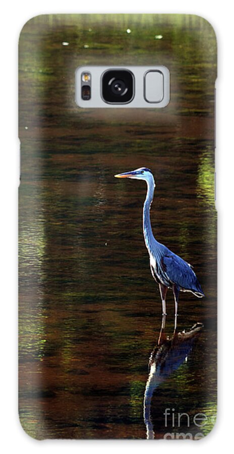 Reflection Galaxy Case featuring the digital art Reflection by Dianne Morgado