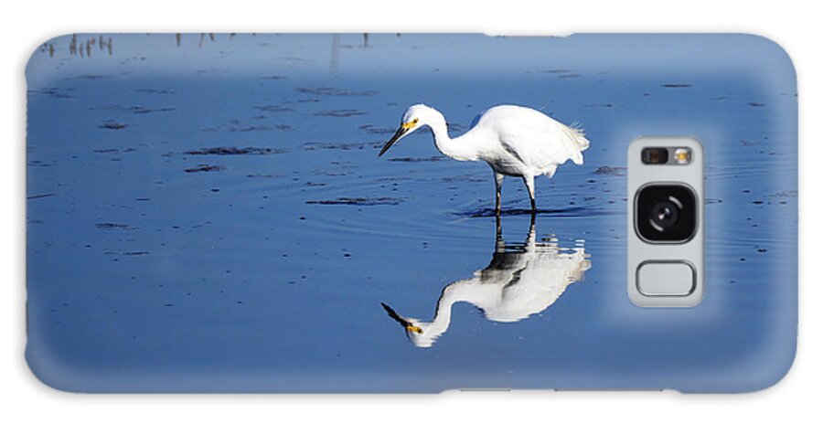 Birds Galaxy Case featuring the photograph Reflections by Paul Ross