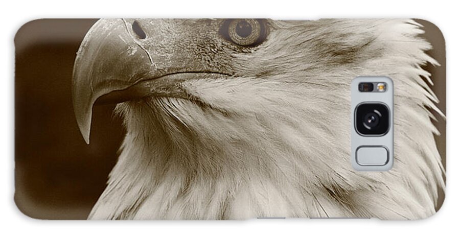 Eagle Galaxy S8 Case featuring the photograph Regal Eagle by Bruce J Robinson