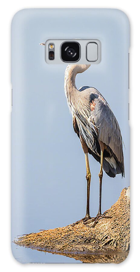 Ardea Herodias Galaxy Case featuring the photograph Regal Great Blue Heron by Dawn Currie