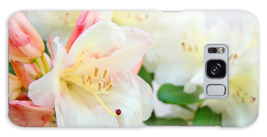 Rhodies Galaxy Case featuring the photograph RHODIES Art Prints White Pink Rhododendrons Baslee Troutman by Patti Baslee