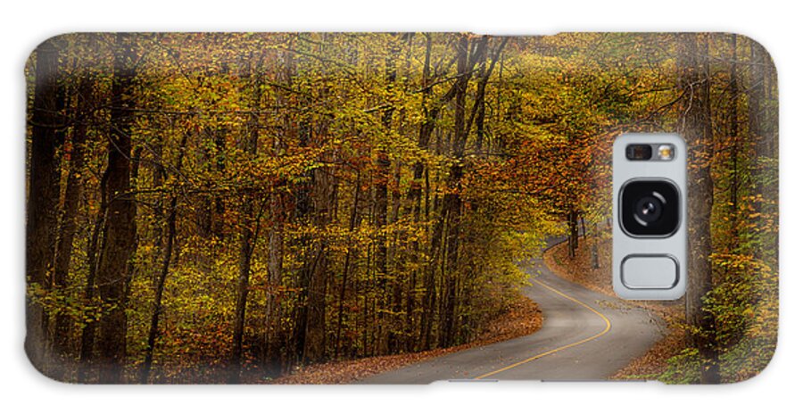 Tishomingo Galaxy S8 Case featuring the photograph Road through Tishomingo State Park by T Lowry Wilson