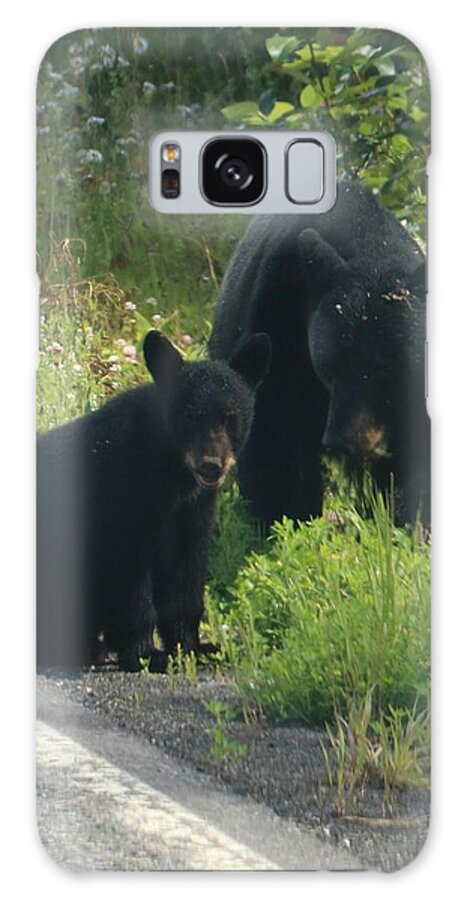 Bears Galaxy Case featuring the photograph Roadside bears by Ross Kestin