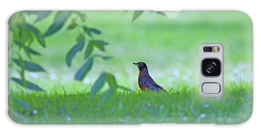 Robin In Grass Galaxy Case featuring the photograph Robin in Grass by PJQandFriends Photography
