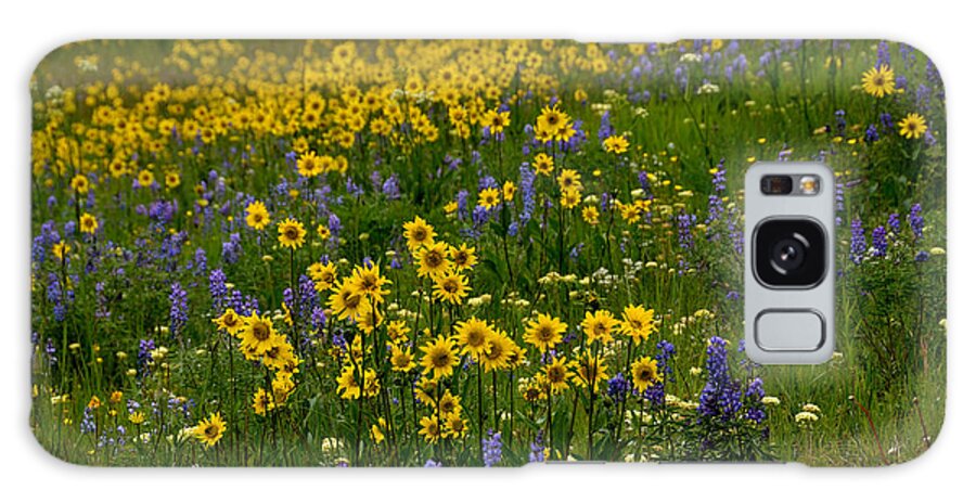 Colorado Galaxy Case featuring the photograph Rocky Mountain Wildflowers by Tranquil Light Photography