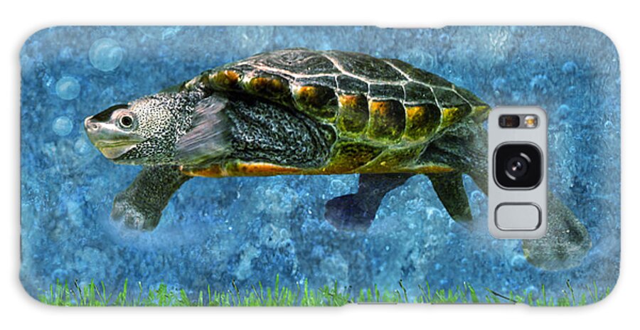 Diamondback Terrapin Galaxy Case featuring the photograph Rodney the Diamondback Terrapin Turtle by Sandi OReilly