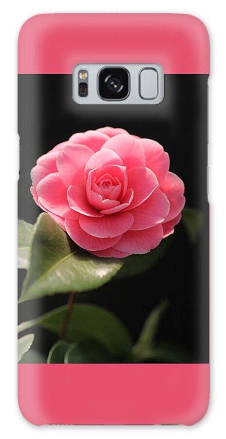 Romantic Galaxy Case featuring the photograph Romantic Camellia by Tammy Pool