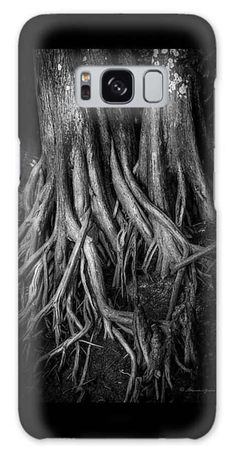 Cypress Trees Galaxy Case featuring the photograph Roots by Marvin Spates