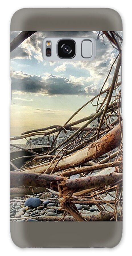 Lake Galaxy S8 Case featuring the photograph Roots by Terri Hart-Ellis