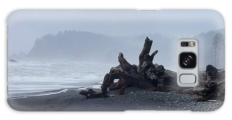 Rialto Beach Galaxy Case featuring the photograph Roots Touch Pacific by Alexis King-Glandon