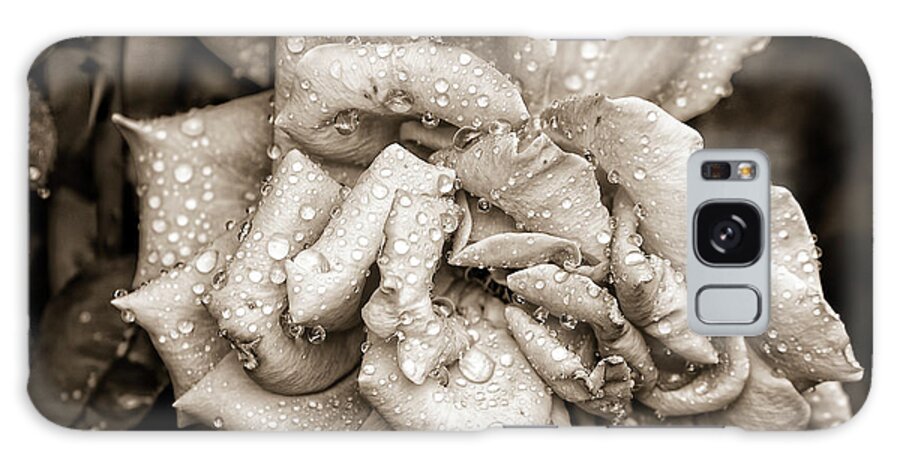 Rose Galaxy Case featuring the photograph Rose After The Rain by Amber Flowers
