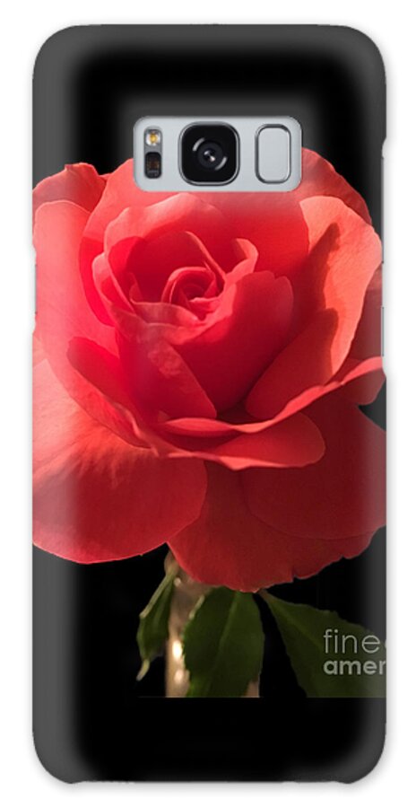 Rose Galaxy Case featuring the photograph Rose in Bloom by CAC Graphics