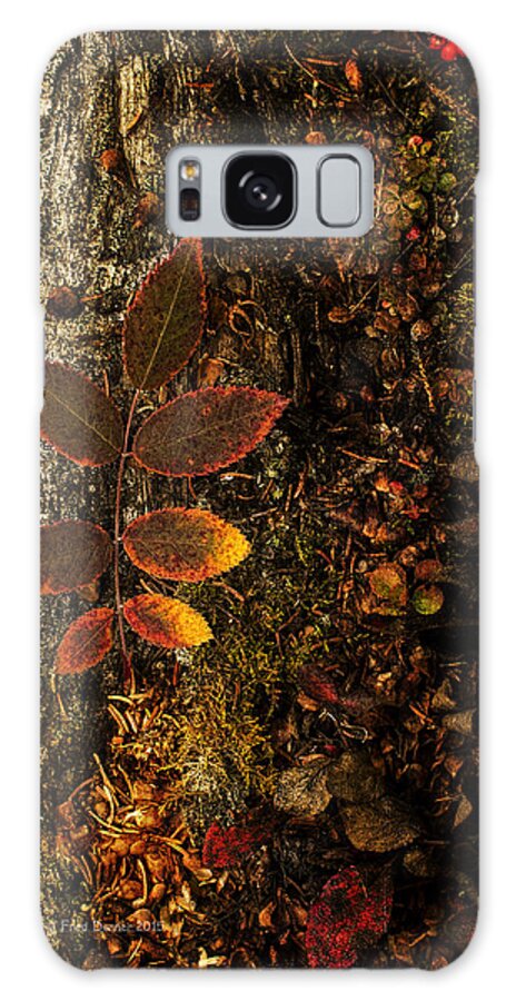 Fall Galaxy Case featuring the photograph Rose Leaf and the forest floor by Fred Denner