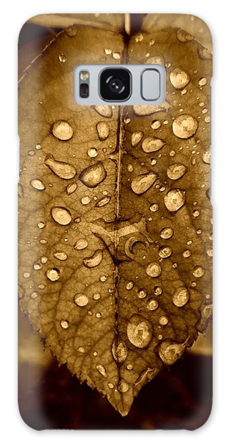 Floral Galaxy Case featuring the photograph Rose Leaf in sepia by Alexis King-Glandon