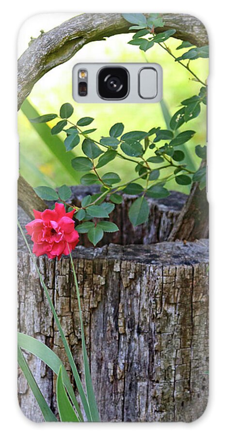 Rose On Wood Galaxy Case featuring the photograph Rose on Wood by PJQandFriends Photography