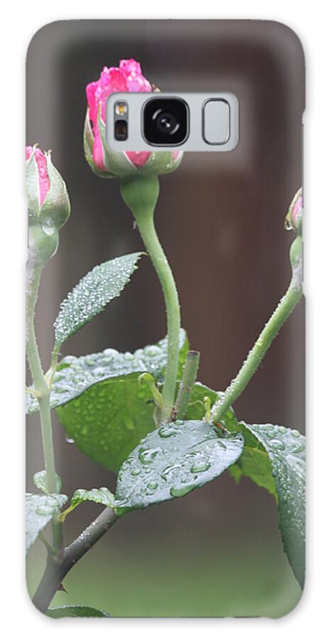 Rose Galaxy Case featuring the photograph Rose Trio by Vadim Levin