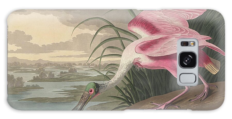 Roseate Spoonbill Galaxy Case featuring the drawing Roseate Spoonbill, 1836 by John James Audubon