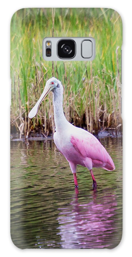 Wildlfe Galaxy Case featuring the photograph Roseate Spoonbill by Patricia Schaefer