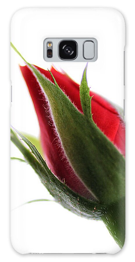Flower Galaxy Case featuring the photograph Rosebud on White by William Selander