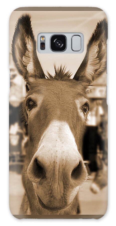 Route 66 Galaxy Case featuring the photograph Route 66 - Oatman Donkeys by Mike McGlothlen