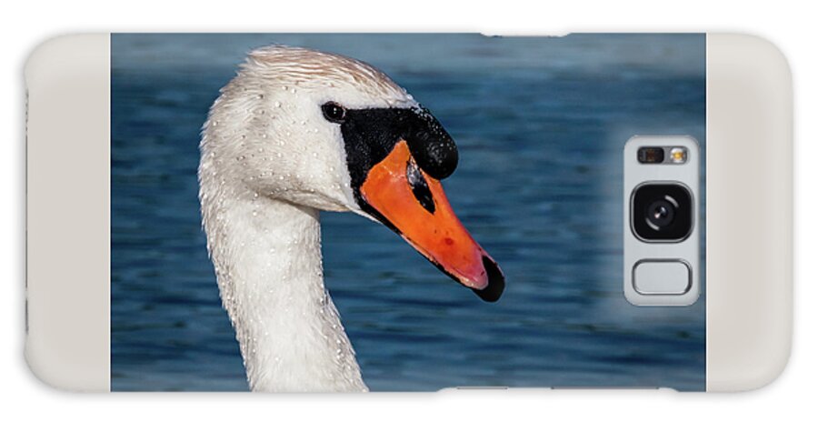 Swan Galaxy Case featuring the photograph Royal Beauty by Nick Bywater