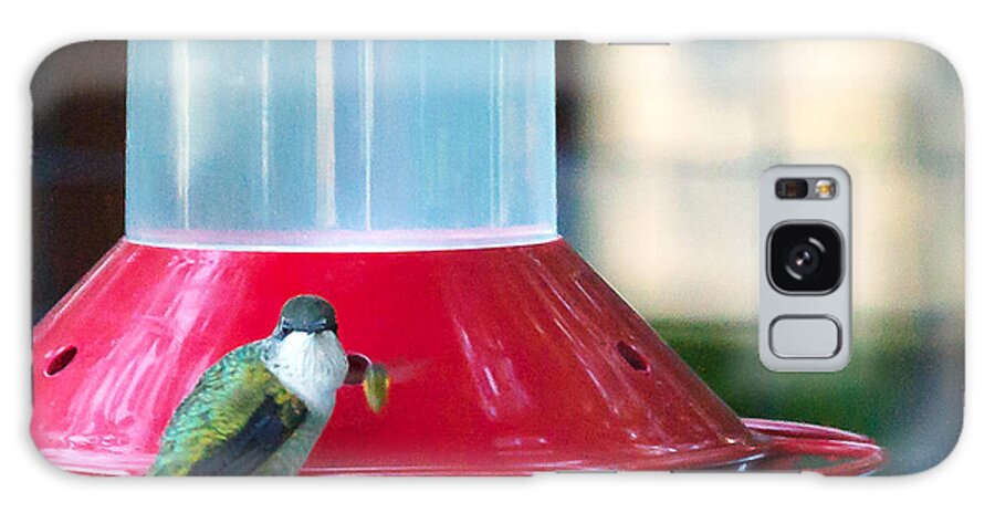 Heron Heaven Galaxy Case featuring the photograph Ruby-throated Hummingbird At Feeder by Ed Peterson
